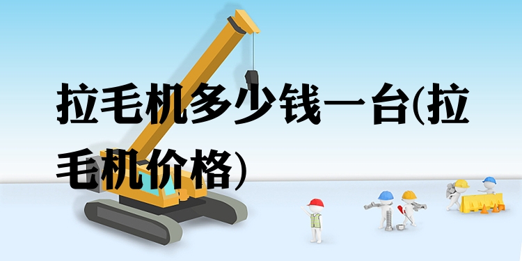 拉毛机多少钱一台
